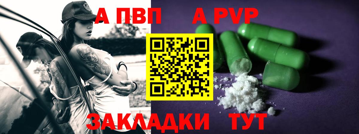 A PVP СК КРИС Мичуринск