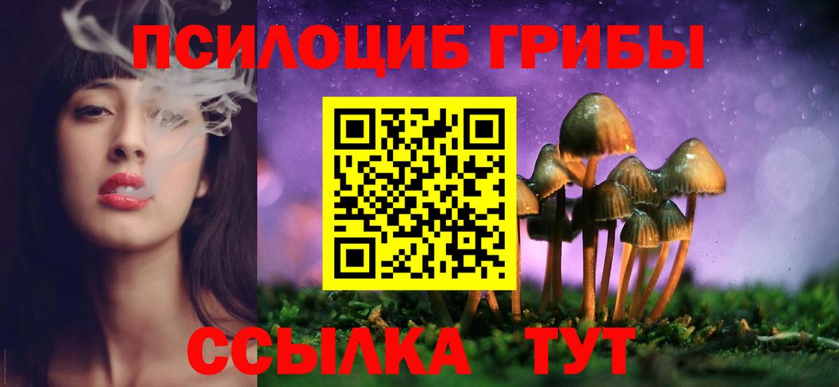 Галлюциногенные грибы Cubensis Мичуринск