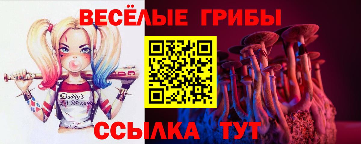 Мичуринск  Галлюциногенные грибы мицелий  Псилоцибиновые грибы Psilocybine cubensis  Вход с VPN 